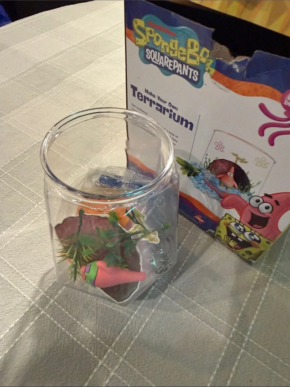 SpongeBob Squarepants spongebob squarepants
